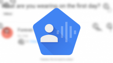 Arriva Google Voice Access - La Soluzione di Google per la Telefonia del Futuro.