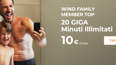 Wind Family Member